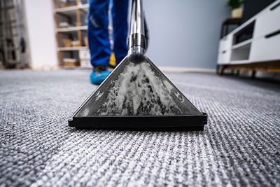 How to Spot the Best Carpet Cleaning Services image