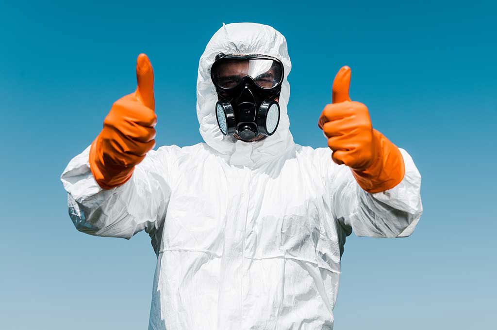 Need a Swat Team? How to Find a Good Exterminator Chicago Consumers