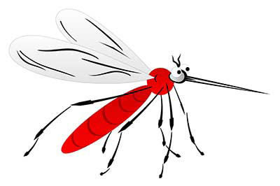 How to Get Rid of Mosquitoes - Washington Consumers' Checkbook How to Get Rid of Mosquitoes - Washington Consumers' Checkbook
