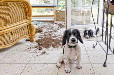 How to Hire an Individual Housecleaner image