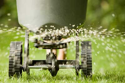 What Do Lawn Care Services Do? image