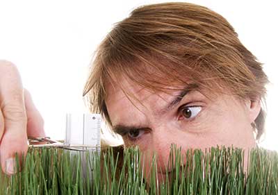 Do Lawn Care Services Know What They're Doing? image