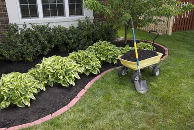 Selecting a Lawn Care Service image