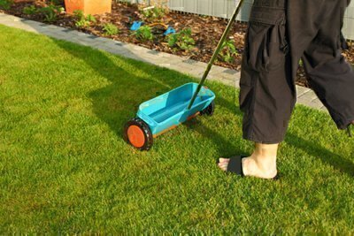 C & K Lawn Care Services