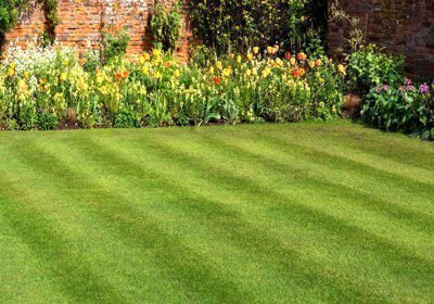 Care For Lawn