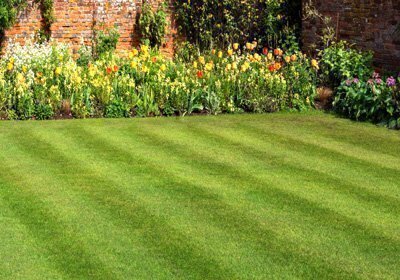 Lawn & Garden