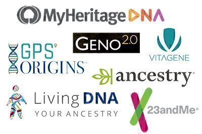 We Tried Out Eight DNA Ancestry Services: Here Are Our Impressions of Each  - National