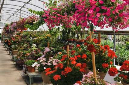 garden store